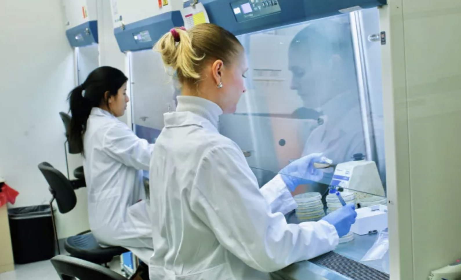 Expansión destaca al BioWorkshop como impulsor de la biotecnología en México