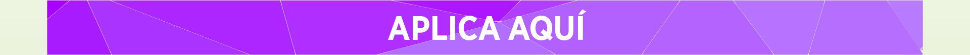 Aplica
